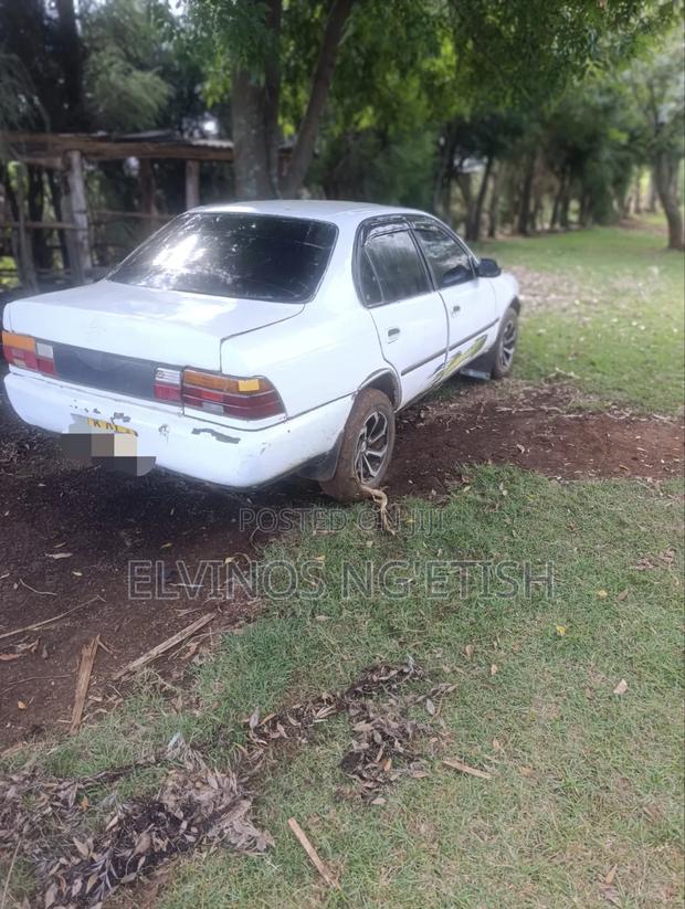 Toyota Corolla 1998 White