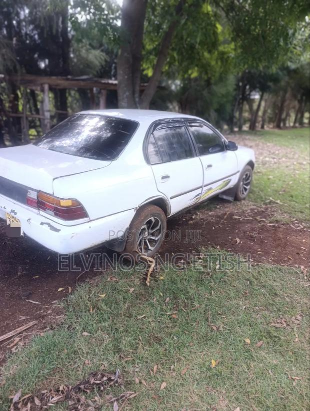 Toyota Corolla 1998 White