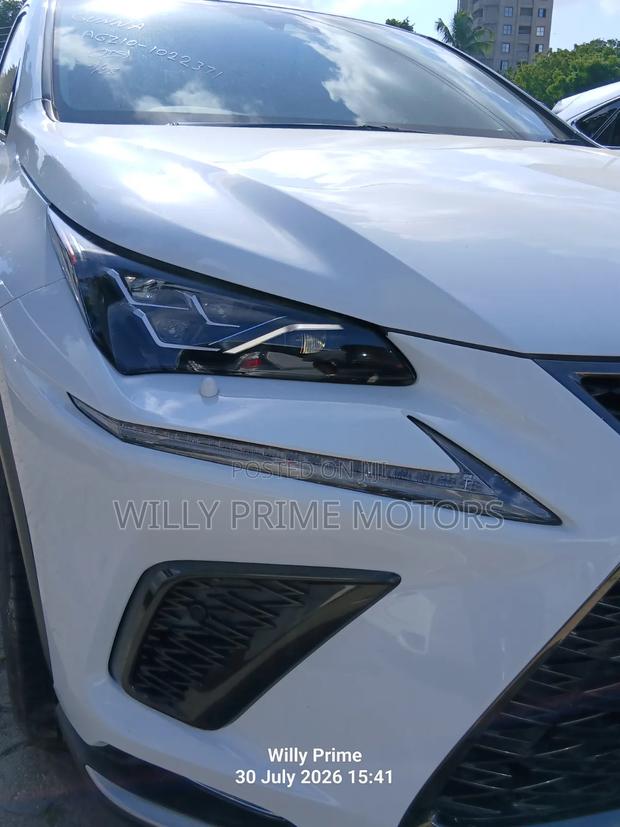 Lexus NX 300 AWD 2019 White
