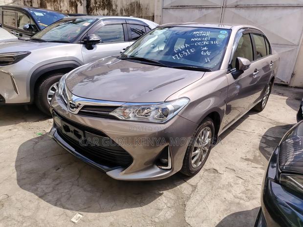 Toyota Axio 2019 Gray