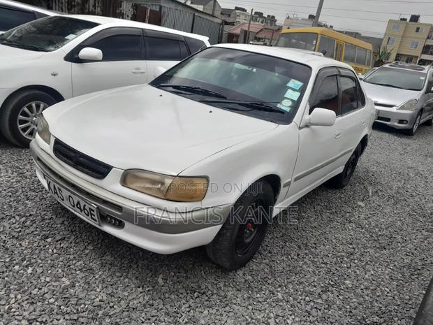 Toyota Corolla 1995 White