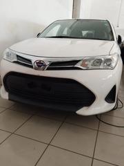 Toyota Corolla Fielder 2019 White for sale