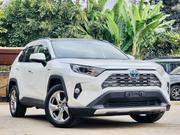 Toyota RAV4 Limited AWD 2019 Pearl for sale