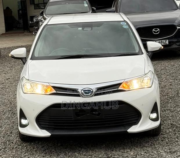 Toyota Axio 1.5 Hybrid 2WD 2019 Pearl