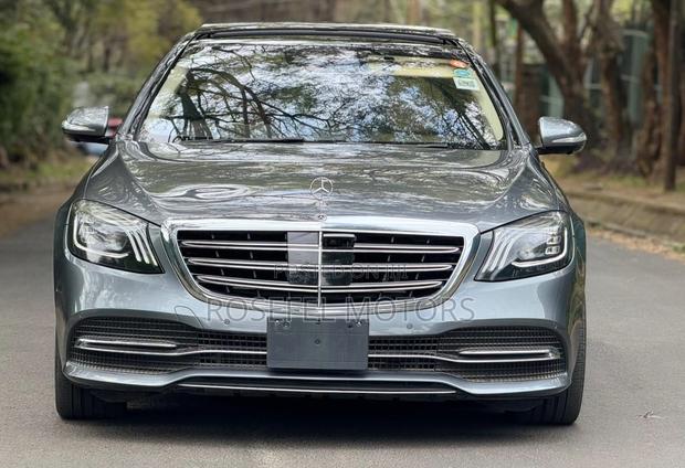 Mercedes-Benz S-Class S 450 4MATIC L (V222) 2018 Gray