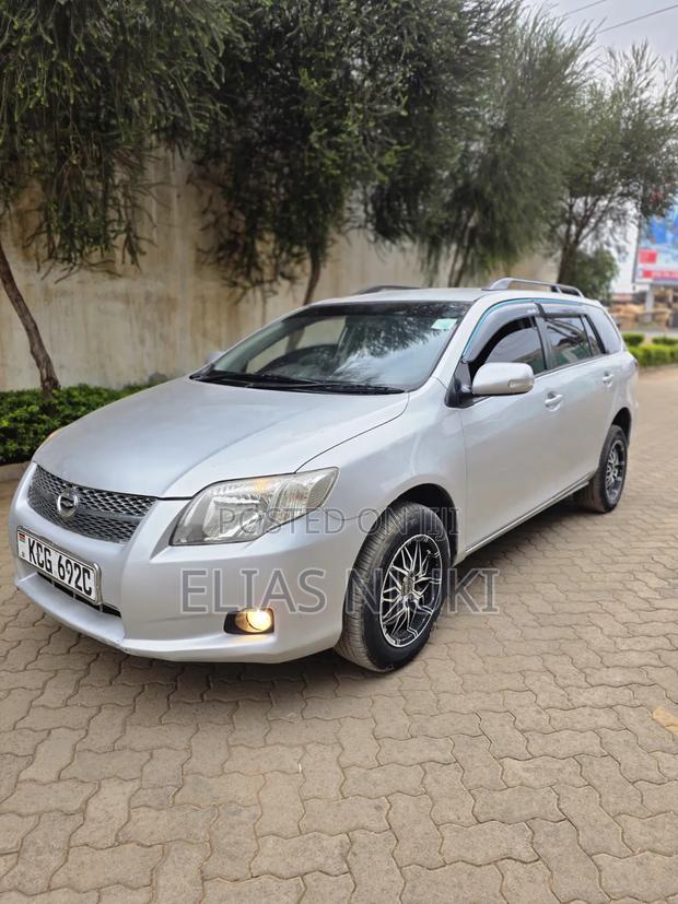Toyota Corolla Fielder 2010 Silver