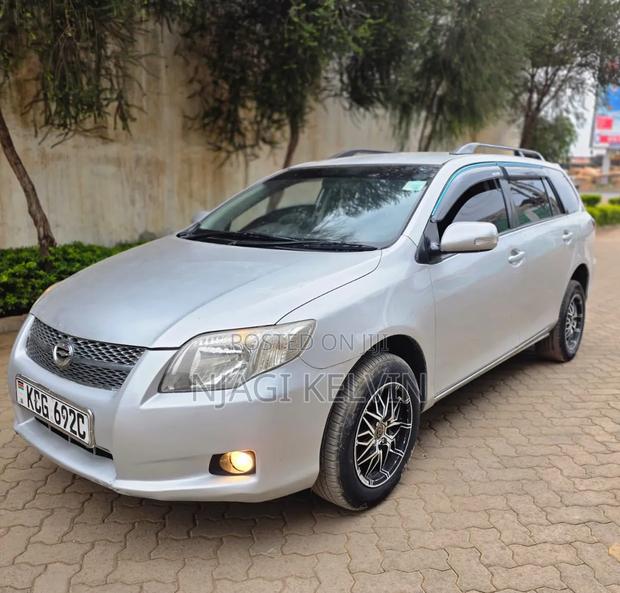 Toyota Corolla Fielder 2010 Silver