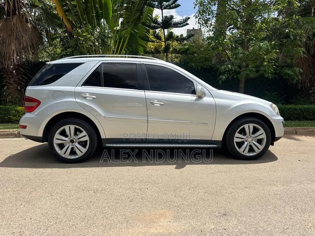 Mercedes-Benz M Class 2010