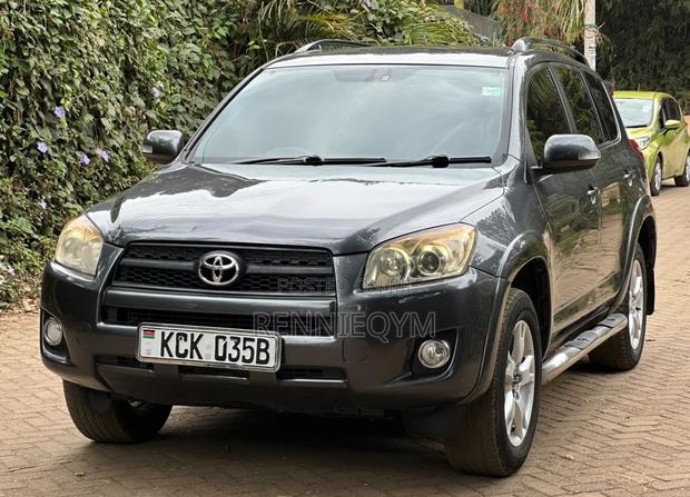 Toyota RAV4 2010 Gray