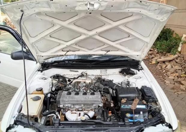Toyota Corolla 1998 White
