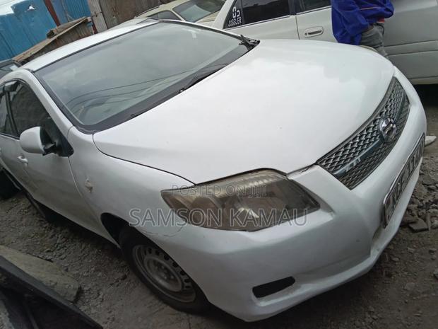 Toyota Axio 2009 Gray