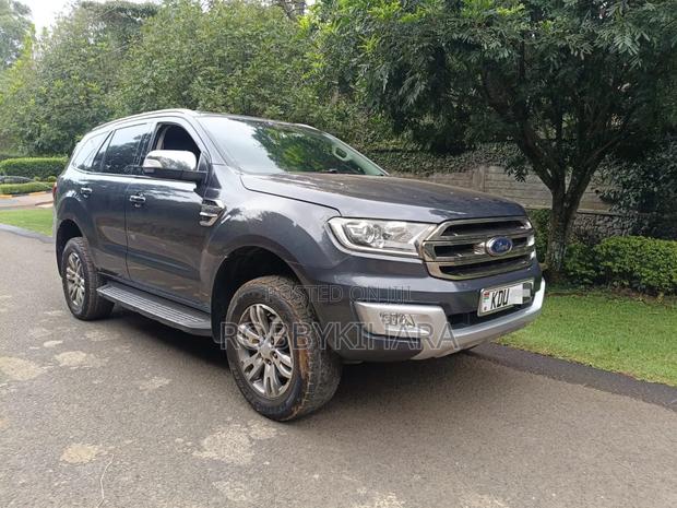 Ford Everest 2018 Gray