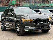 Volvo XC60 2019 Gray for sale