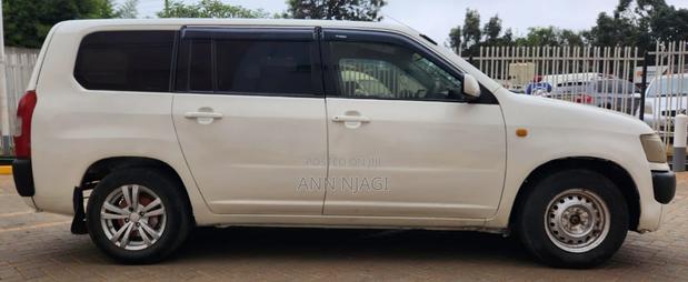 Toyota Probox 2010 Pearl