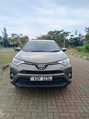 Toyota RAV4 2017 Gray for sale