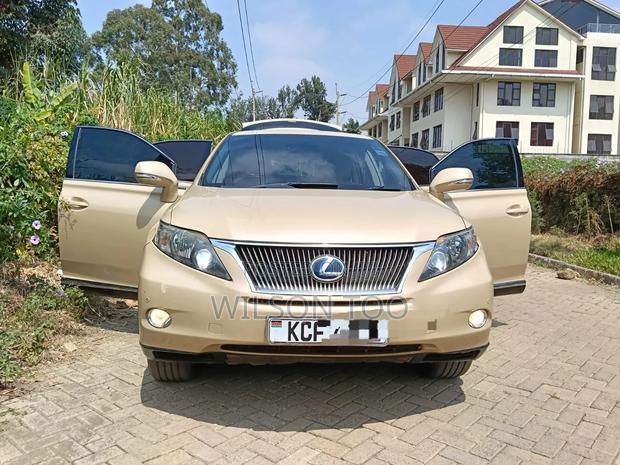 Lexus RX 2009 Gold