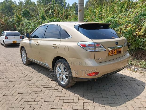 Lexus RX 2009 Gold