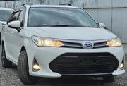 Toyota Corolla Fielder 2019 Pearl for sale