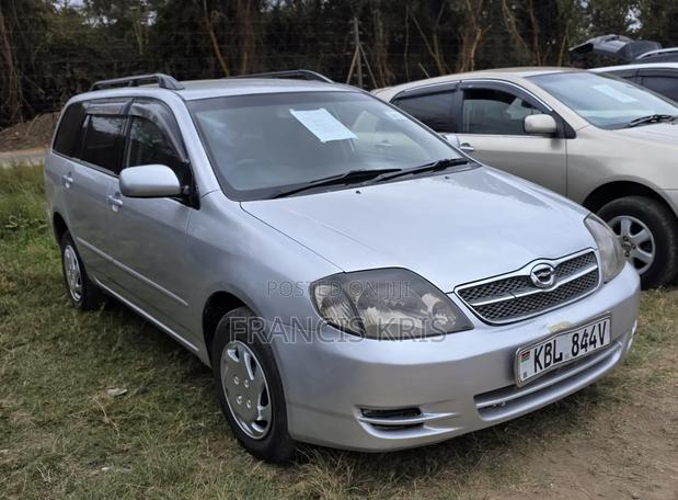 Toyota Corolla Fielder 2004 Silver
