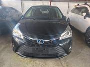 Toyota Vitz 2019 Black for sale