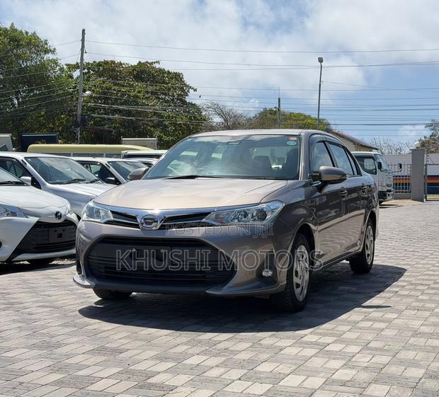 Toyota Axio 2018 Brown