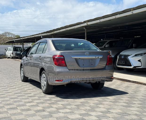 Toyota Axio 2018 Brown