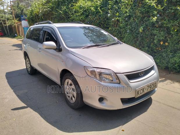 Toyota Corolla Fielder 2009 Silver