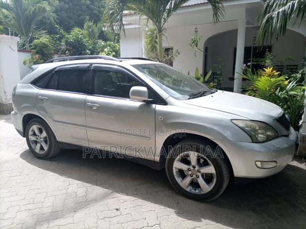 Lexus RX 350 2007 Silver