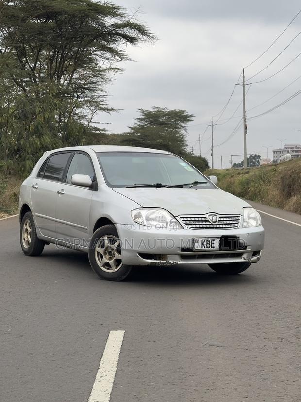 Toyota Allex 2001 Silver