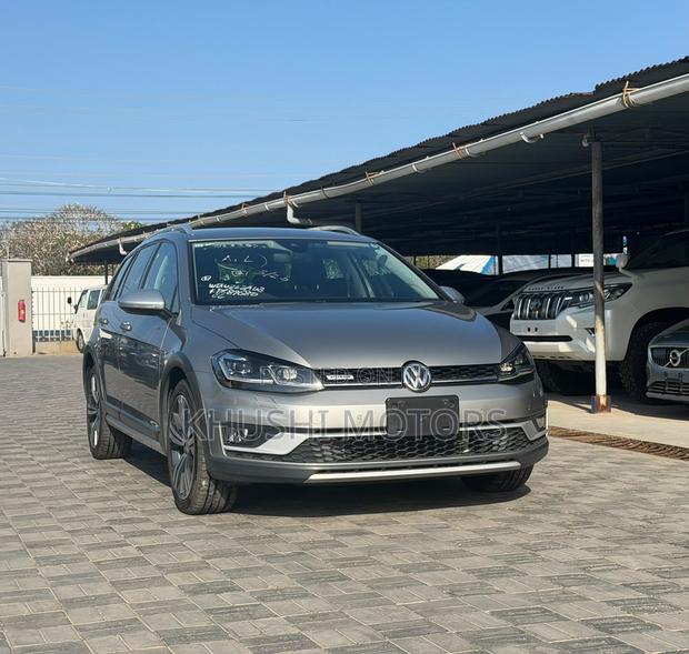 Volkswagen Golf Alltrack 2019 Silver