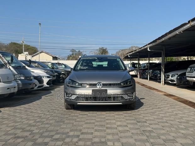 Volkswagen Golf Alltrack 2019 Silver