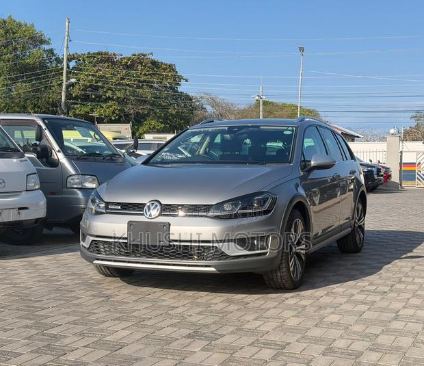 Volkswagen Golf Alltrack 2019 Silver