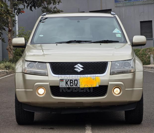 Suzuki Escudo 2008 Gold