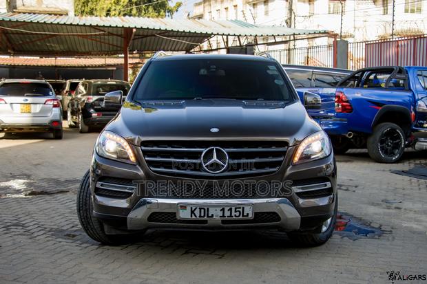 Mercedes-Benz M Class 2013 Brown