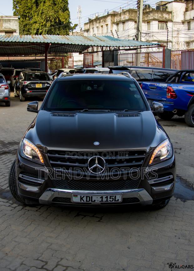 Mercedes-Benz M Class 2013 Brown