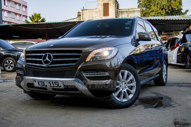 Mercedes-Benz M Class 2013 Brown