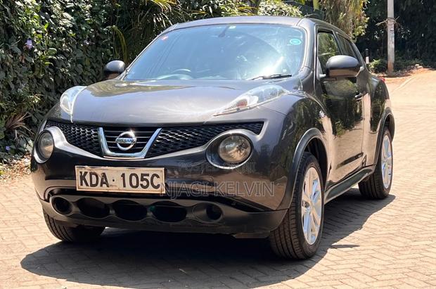 Nissan Juke 2013 Gray