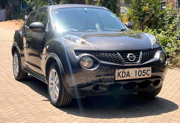 Nissan Juke 2013 Gray