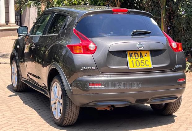 Nissan Juke 2013 Gray