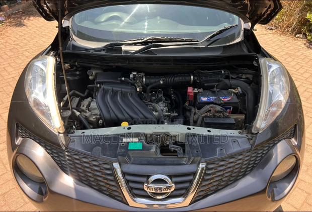 Nissan Juke 2013 Gray