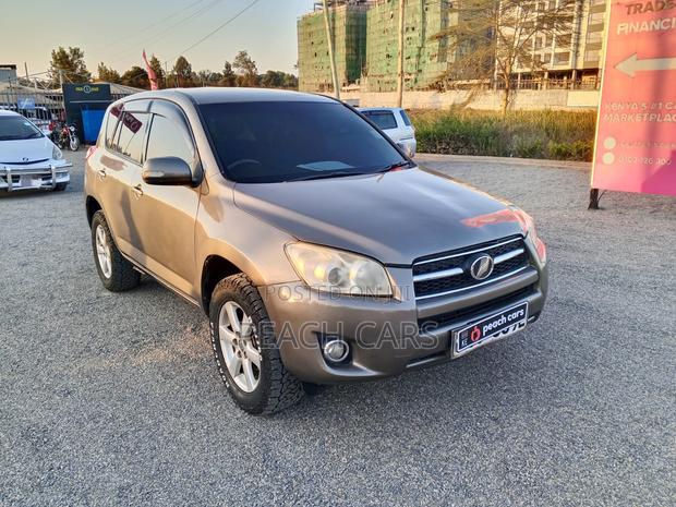 Toyota RAV4 2010 Silver