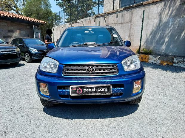 Toyota RAV4 2002 Blue