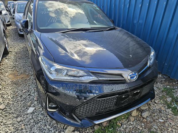 Toyota Axio 2019 Black