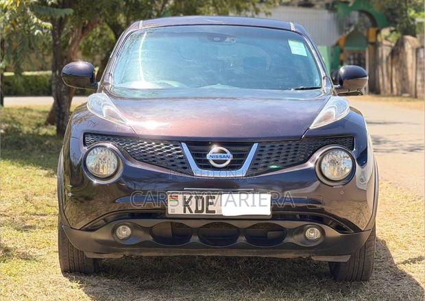 Nissan Juke 2014 Brown