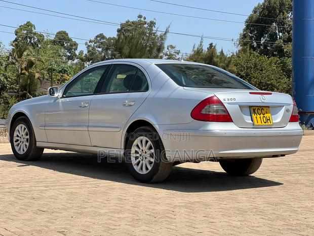 Mercedes-Benz E300 2009 Silver
