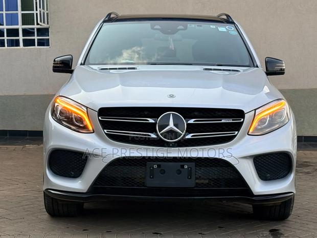 Mercedes-Benz GLE-Class 2017 Gray