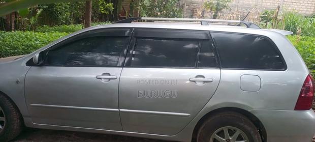 Toyota Corolla Fielder 2007 Silver