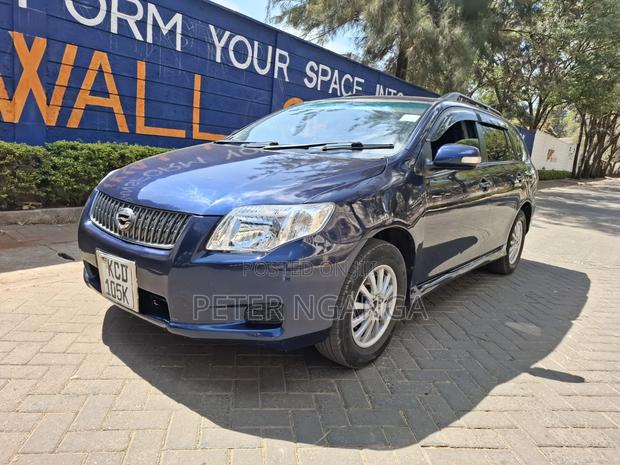 Toyota Corolla Fielder 2009 Blue