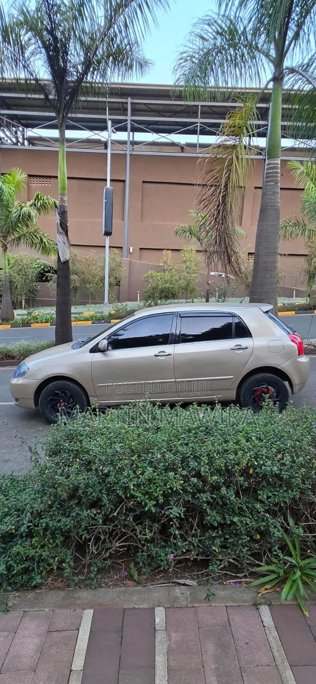 Toyota Corolla RunX 2005 Gold