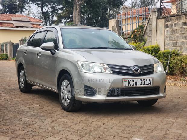 Toyota Axio 1.5 G 2WD 2013 Gray